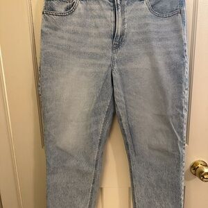 American Eagle Outfitters Strigid Mom Jeans